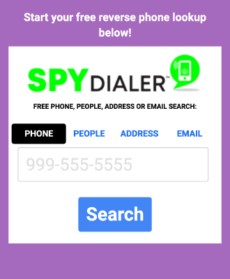 Chrome internet tarayıcısı üzerinden SpyDialer arama bölümünün ekran görüntüsü