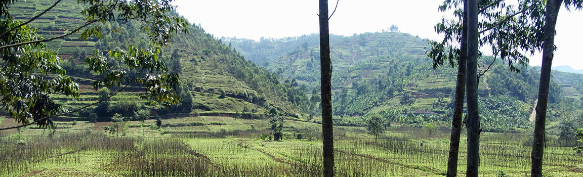 Alan Kodu: +2507 - 98049457 Gikongoro, Ruanda